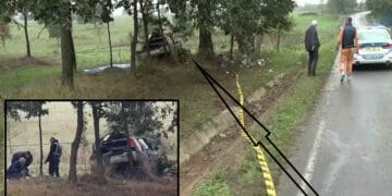 O celebră doctoriță implicată într-un lanț al șpăgilor a murit într-un accident rutier. Era la volan, iar în autoturism au fost găsite sume mari de bani pe care le transporta într-un loc secret!
