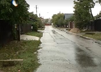 Caz de o cruzime rară! Un bărbat a ucis în bătaie un pui de câine! Motivul, unul halucinant!