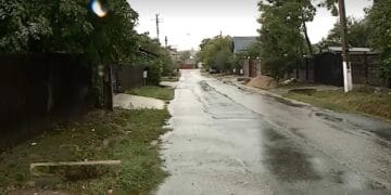 Caz de o cruzime rară! Un bărbat a ucis în bătaie un pui de câine! Motivul, unul halucinant!