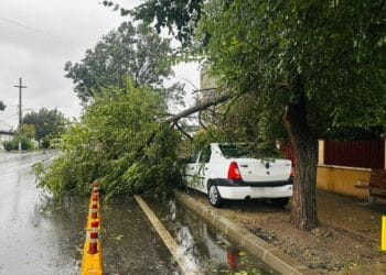 Imagini apocaliptice din Capitală. Natura și-a arătat colții…din plin: ore de haos și distrugeri masive!