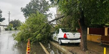 Imagini apocaliptice din Capitală. Natura și-a arătat colții…din plin: ore de haos și distrugeri masive!
