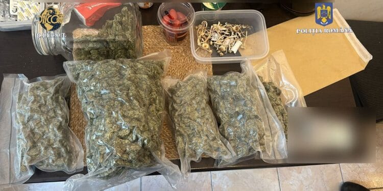 Un bărbat a fost arestat pentru că introducea droguri în țară prin intermediul unei firme de curierat! A introdus pe piață aproape 8 kilograme de canabis!