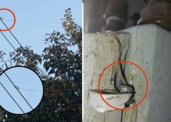 Furt de energie și gaze la scară națională: Topul județelor unde au fost depistate mii de cazuri de consum fraudulos. Facturi umflate pentru cei buni platnici