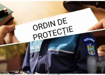 Aleșii locali ar putea fi suspendați dacă au emis pe numele lor un ordin de protecție. Proiect de lege depus la Senat