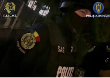 Percheziții de amploare în toată țara! Rețea de falsificatori de acte oficiale, destructurată de anchetatori