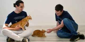 Doi români au dezvoltat o afacere menită să ajute animalele! Firma se ocupă cu dezvoltarea de soluții veterinare!