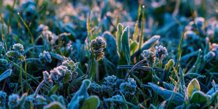 Vremea săptămâna aceasta: răcire accentuată, ploi și brumă în mai multe regiuni. Cum va fi în București și în mai multe județe din România