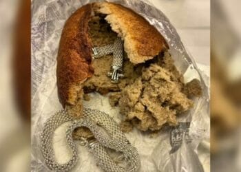 Români prinși la vamă cu bijuterii furate ascunse… într-o pâine! Cei doi au fost reținuți. Urmează să se stabilească în ce fel au fost implicați în furt! 