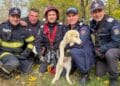 Cățelușă salvată de pompieri după ce a căzut într-un puț adânc de 15 metri!