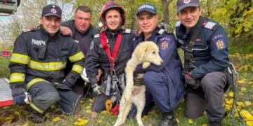 Cățelușă salvată de pompieri după ce a căzut într-un puț adânc de 15 metri!