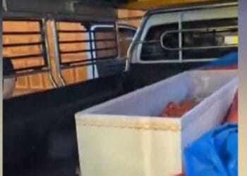 ȘOC! O femeie „moartă” s-a mișcat în coșciug! Urma să fie incinerată!