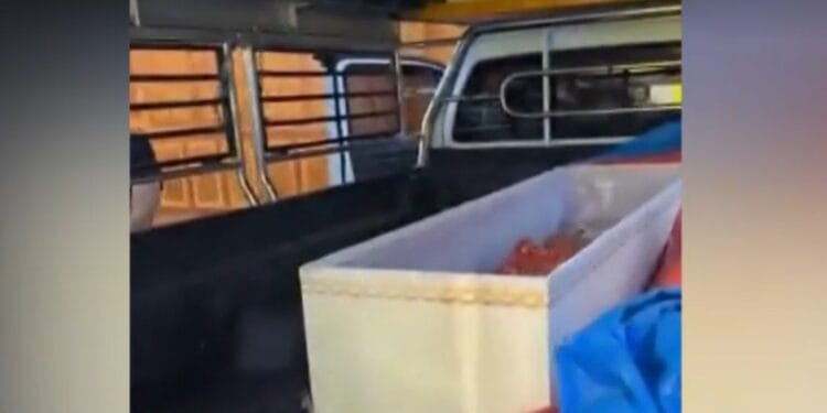 ȘOC! O femeie „moartă” s-a mișcat în coșciug! Urma să fie incinerată!