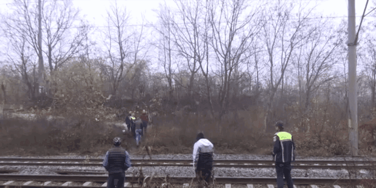 Trupul unei tinere de 26 de ani, găsit cu urme de violență lângă calea ferată. Ancheta ia în calcul un omor