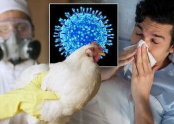 Un bărbat a murit după infectarea cu virusul rar H5N5 al gripei aviare! Autoritățile spun că riscul pentru populație este scăzut