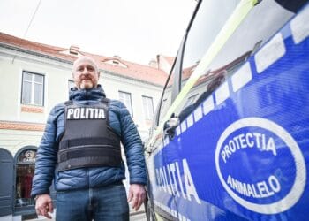 Scandal: A aruncat cățelul de la etajul 2, după o ceartă cu soția! Animalul e în viață, stăpânul este reținut!