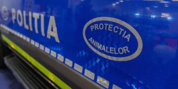 Bărbat reținut după ce a ucis cu intenție o pisică! E șocant ce au descoperit agenții