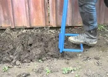 O comoară de aur descoperită într-o grădină! Un bărbat a găsit lingouri și monede de 700.000 de euro