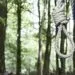Tragedie. Un bărbat de 44 de ani a fost găsit spânzurat într-un camping. Poliția a deschis o anchetă