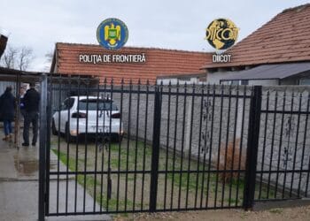 Percheziție de amploare! DIICOT și polițiștii de frontieră destructurează rețea de trafic de migranți!