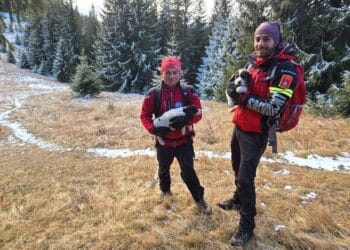Salvamontiștii salvează doi căței pierduți pe un traseu montan! Poveste cu final fericit