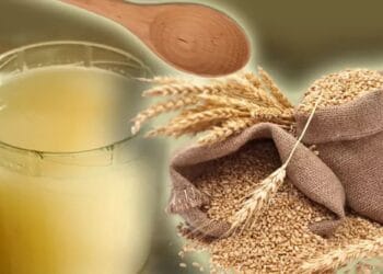 Borșul de casă: zeama acrișoară care stimulează digestia, imunitatea și energia