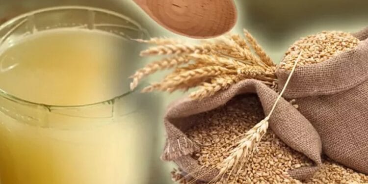 Borșul de casă: zeama acrișoară care stimulează digestia, imunitatea și energia