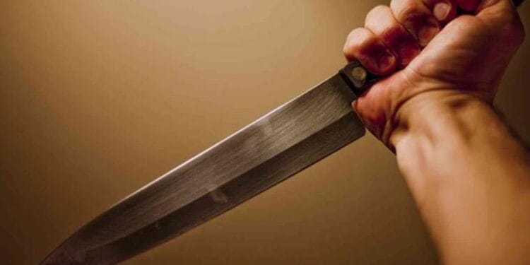 Crimă în familie! Tânăr de 26 de ani, acuzat că și-a ucis tatăl cu 18 lovituri de cuțit!