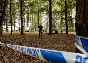 Tragedie șocantă! O femeie însărcinată în 9 luni a fost găsită moartă în pădure. Bebelușul a dispărut fără urmă. O anchetă este în curs!