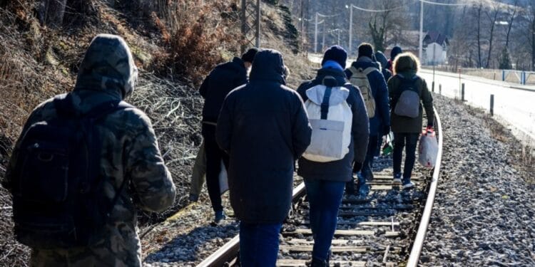 Trafic de migranți dejucat! Șofer reținut, patru străini depistați fără acte