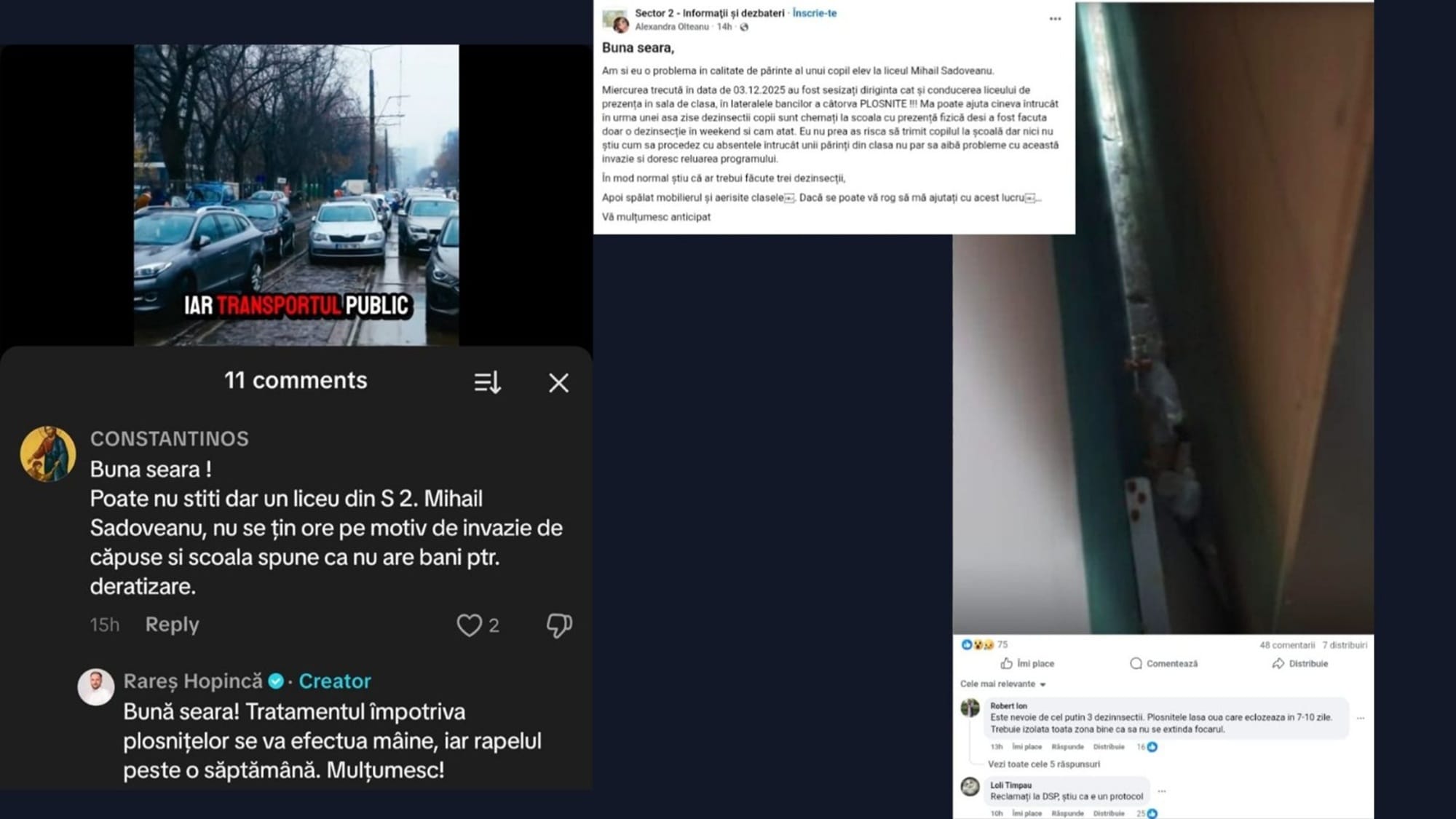 Invazie de ploșnițe într-un liceu! Insectele au ajuns în casele oamenilor, părinții refuză să mai trimită copiii la școală!