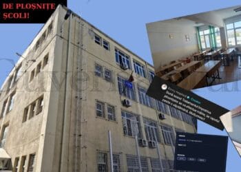 Invazie de ploșnițe într-un liceu! Insectele au ajuns în casele oamenilor, părinții refuză să mai trimită copiii la școală!