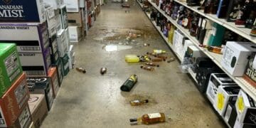 Raton beat, găsit dormind în baia unui magazin de băuturi alcoolice! Banditul a căzut prin tavan!