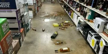 Raton beat, găsit dormind în baia unui magazin de băuturi alcoolice! Banditul a căzut prin tavan!