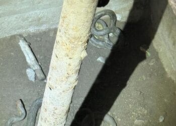 Doi șerpi de un metru și jumătate, scoși din beciul unei gospodării! Jandarmii i-au capturat și eliberat în natură