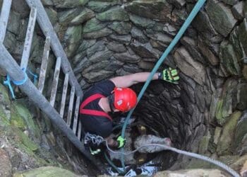 Salvatorii ISU au scos o bovină dintr-un puț adânc de șapte metri! Intervenția a durat peste trei ore!