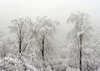 Se anunță temperaturi mai ridicate până pe 29 decembrie, apoi o răcire ușoară la început de 2026