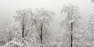 Se anunță temperaturi mai ridicate până pe 29 decembrie, apoi o răcire ușoară la început de 2026