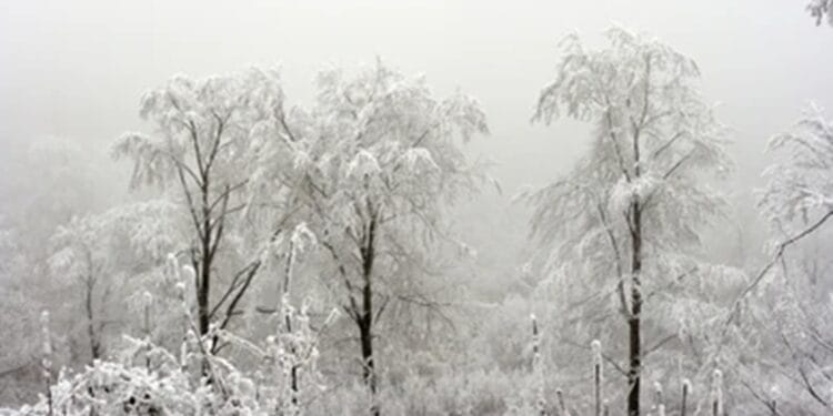 Se anunță temperaturi mai ridicate până pe 29 decembrie, apoi o răcire ușoară la început de 2026