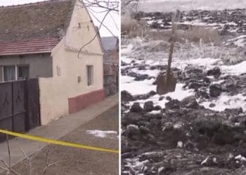 Crimă șocantă între elevi! Copil de 15 ani, ucis și îngropat în curtea unui coleg!