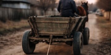 Cruzime extremă! Bărbat reținut după ce ar fi omorât un câine, târându-l legat de o căruță!