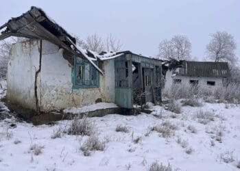 Percheziții de amploare! Rețea care facilita obținerea frauduloasă a actelor românești, anchetată de Poliție!