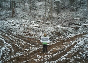 ONG-urile de mediu acuză Ministerul Mediului: „Acordul proprietarilor, pretext pentru blocarea protecției stricte a naturii”