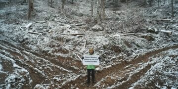 ONG-urile de mediu acuză Ministerul Mediului: „Acordul proprietarilor, pretext pentru blocarea protecției stricte a naturii”