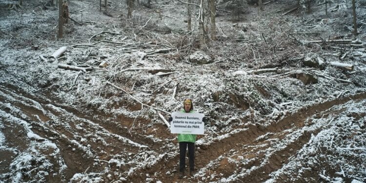 ONG-urile de mediu acuză Ministerul Mediului: „Acordul proprietarilor, pretext pentru blocarea protecției stricte a naturii”