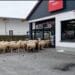 „Invazie” neașteptată într-un supermarket! Zeci de oi au luat cu asalt magazinul, spre amuzamentul clienților
