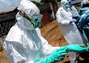 Pericol pe farfurie! Microplastice găsite în șprot, midii și rapane pescuite de pe litoralul românesc!