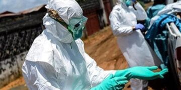 Pericol pe farfurie! Microplastice găsite în șprot, midii și rapane pescuite de pe litoralul românesc!