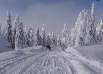 Mii de oameni fără curent după viscol! Raed Arafat: „Situația este sub control”