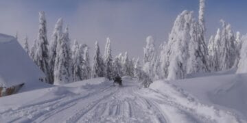 Mii de oameni fără curent după viscol! Raed Arafat: „Situația este sub control”