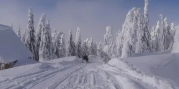 Mii de oameni fără curent după viscol! Raed Arafat: „Situația este sub control”